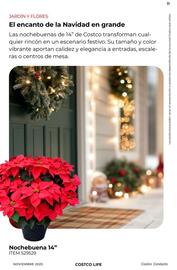 Catálogo Costco Página 11