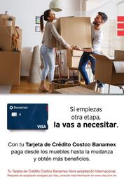 Catálogo Costco Página 17