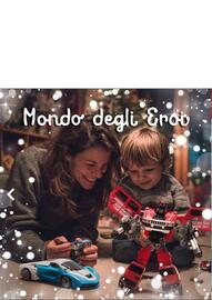 Volantino Giocheria Pagina 135