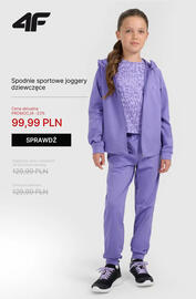 4F gazetka tydzień 45 Strona 17