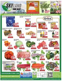 Skyland Foodmart flyer week 45 Page 1