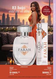 Catálogo Monique Página 13