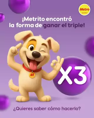 Catálogo Metro (válido hasta 30-11)