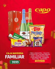 Catálogo Autoservicio Capo Página 1