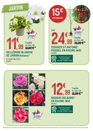 Catalogue Botanic page 2