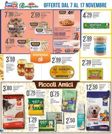 Volantino Iper Romagnolo Pagina 10