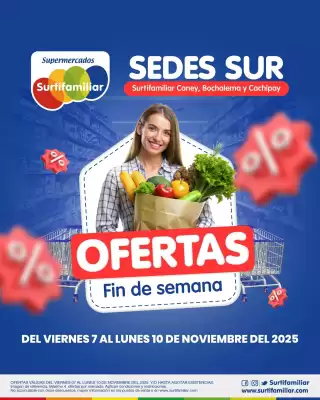 Catálogo Surtifamiliar (válido hasta 10-11)