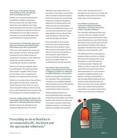 BC Liquor Stores flyer Page 45