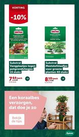 AVEVE folder Pagina 11