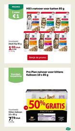 AVEVE folder Pagina 8