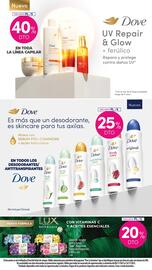 Catálogo La Anonima Página 31