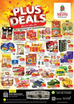 Nesto catalogue (valid until 10-11)