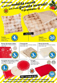 Volantino Tedi Pagina 25