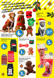 Volantino Tedi Pagina 32