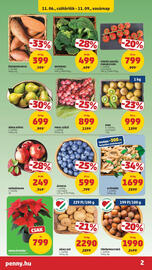PENNY akciós újság hét 45 Oldal 2