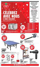 Canadian Tire flyer Page 1