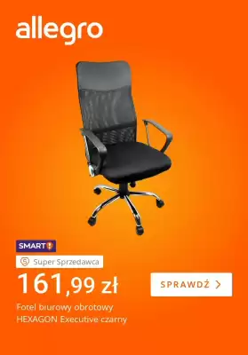 Allegro gazetka (ważność do 13-11)