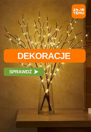 Temu gazetka Strona 1