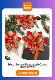 Temu gazetka Strona 5