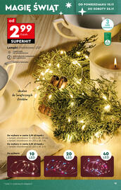 Biedronka gazetka Strona 13