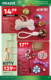 Biedronka gazetka Strona 45