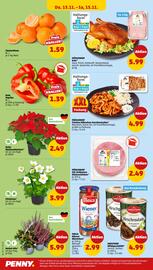 PENNY Prospekt woche 46 Seite 34