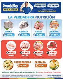 Catálogo Surtifamiliar Página 4