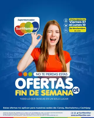Catálogo Surtifamiliar (válido hasta 10-11)