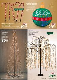 Selgros Prospekt woche 46 Seite 31