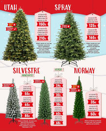 Volantino Orizzonte Pagina 3