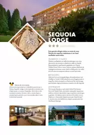 Folheto Solférias Página 44