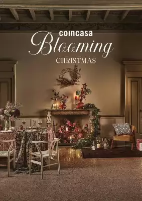 Volantino Coin (valido fino al 7-12)