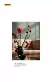 Jotun kundeavis Side 6