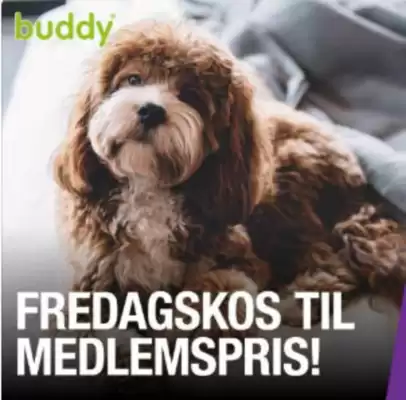 Buddy kundeavis (gyldig til 28-02)