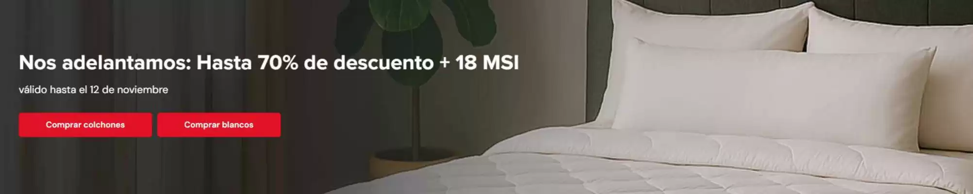 Catálogo Atlas (válido hasta 12-11)