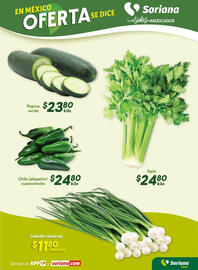 Folleto Soriana Híper Página 5