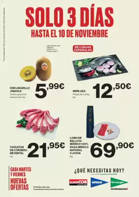 Catálogo Viajes El Corte Inglés (válido hasta 10-11)