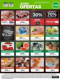Catálogo Jumbo Página 7
