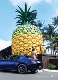 NRMA catalogue Page 34