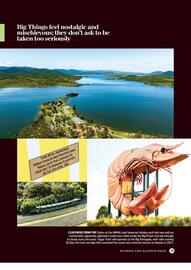 NRMA catalogue Page 39