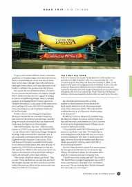 NRMA catalogue Page 37