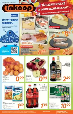 Inkoop Prospekt (gültig bis 15-11)