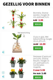 Intratuin folder week 46 Pagina 2