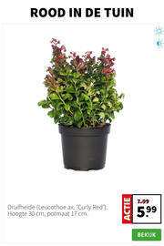 Intratuin folder week 46 Pagina 3