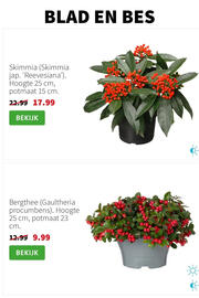 Intratuin folder week 46 Pagina 4