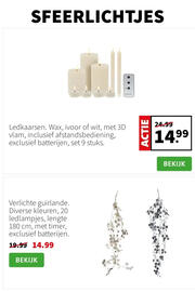 Intratuin folder week 46 Pagina 8