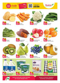 Shaklan leaflet Page 2