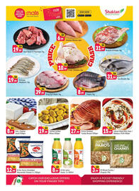 Shaklan leaflet Page 3