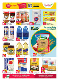 Shaklan leaflet Page 6