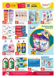 Shaklan leaflet Page 7